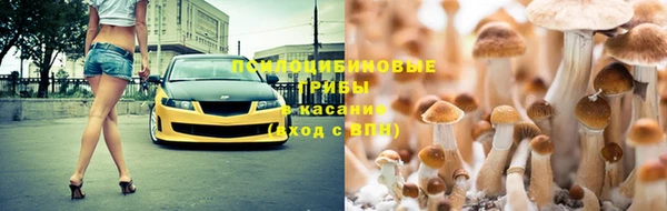 ПСИЛОЦИБИНОВЫЕ ГРИБЫ Алексеевка