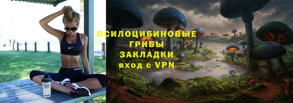 гидра Алексин