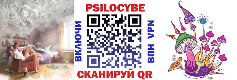 OMG вход  Малаховка  Галлюциногенные грибы MAGIC MUSHROOMS 
